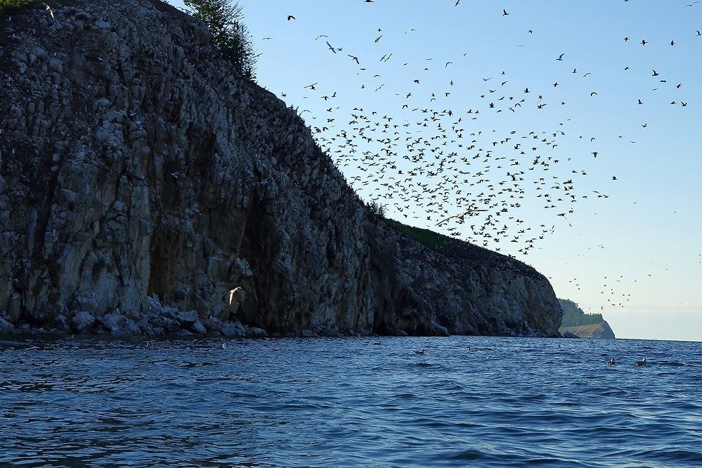 Остров Голый. Фото: gril-avp.livejournal.com