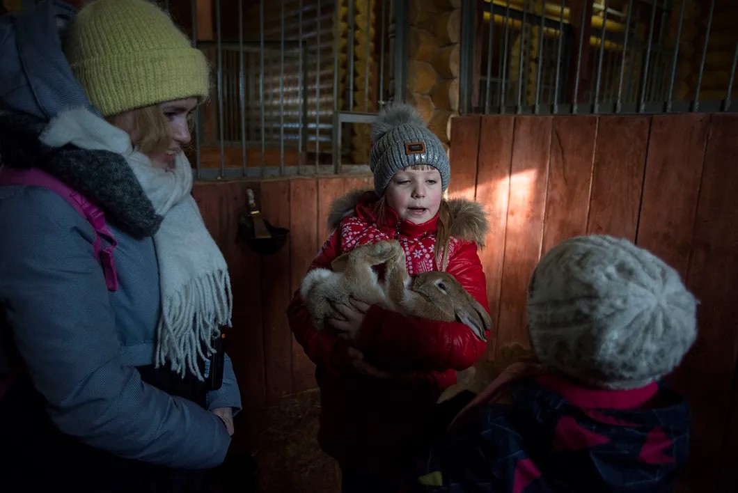 После занятий дети могут поиграть с животными. Фото: Виталий Кавтарадзе / специально для «Новой»