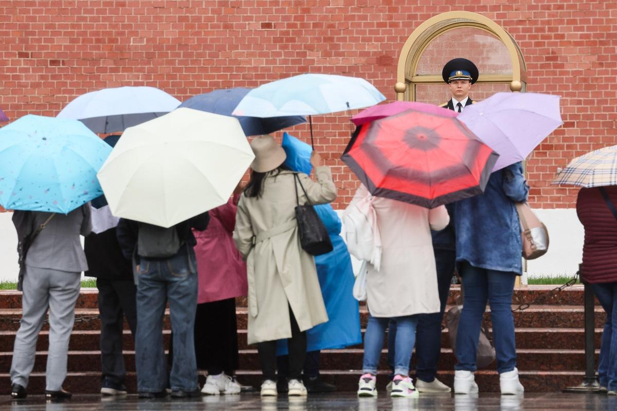 Фото: Сергей Савостьянов / ТАСС