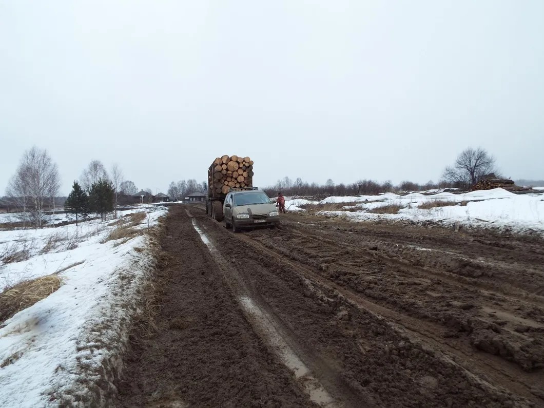 Дорога Болотовское—Муратково весной. Фото: Елена Шукаева для «Новой»