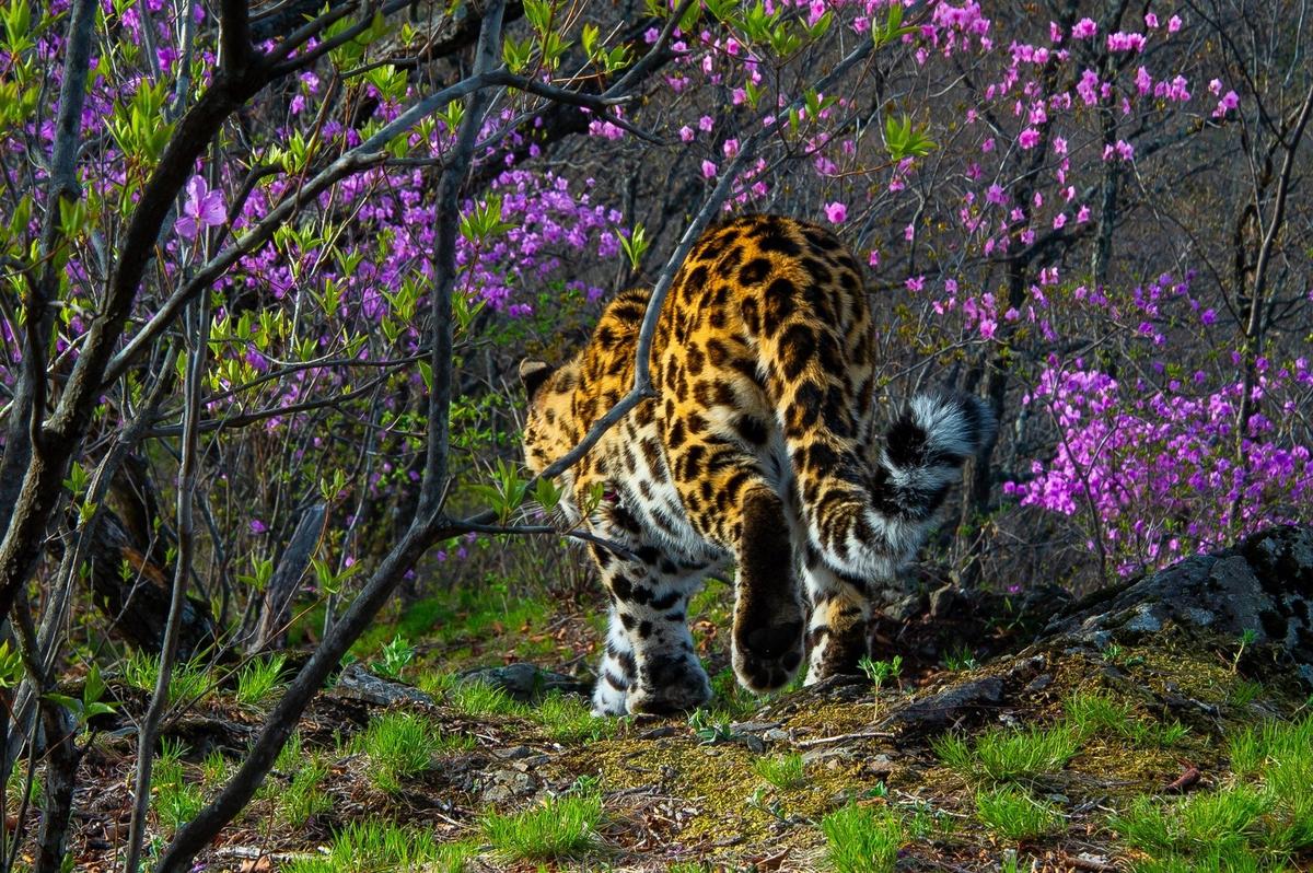 Фото: Юрий Смитюк / ТАСС