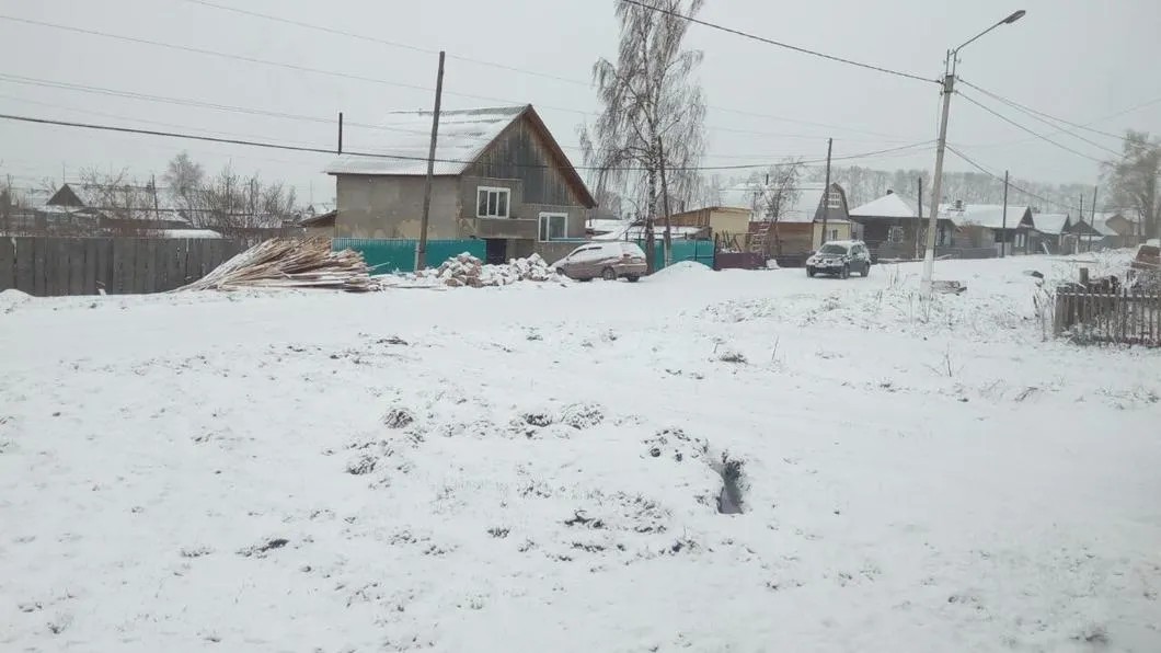 Козулька зимой. Фото: Вконтакте