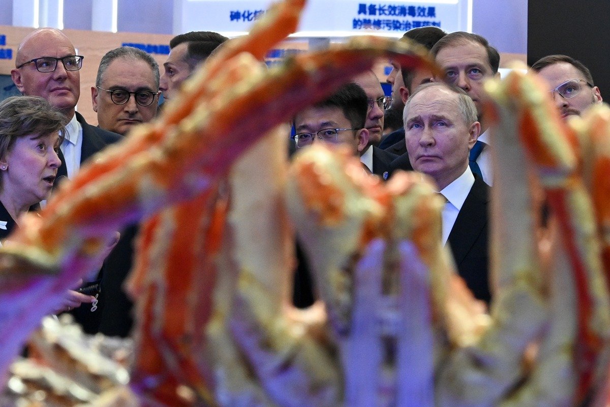 Владимир Путин во время осмотра экспозиции VIII Российско-китайского ЭКСПО. Фото: Сергей Бобылев / POOL / ТАСС