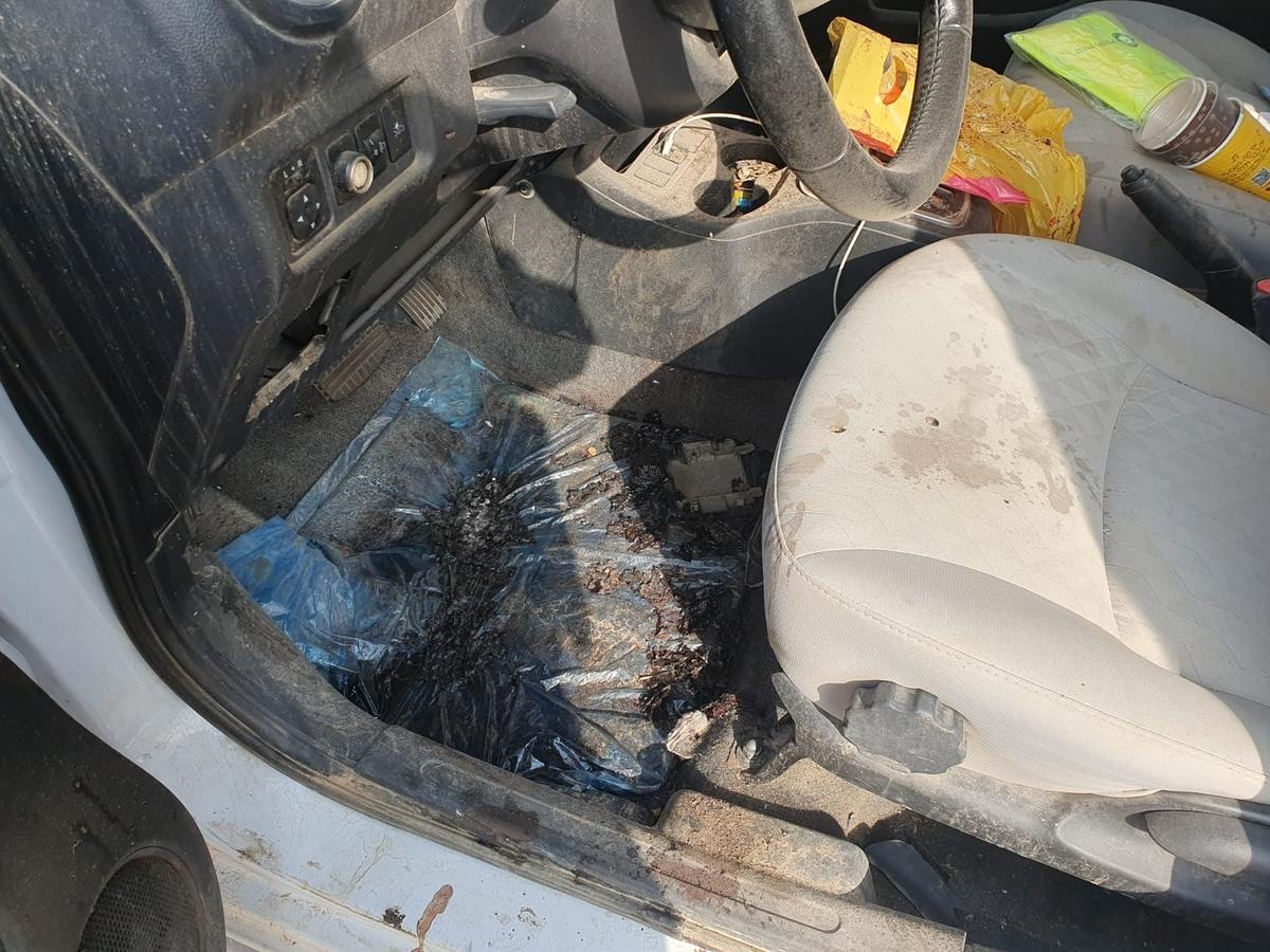 Фото: Евгений Левин