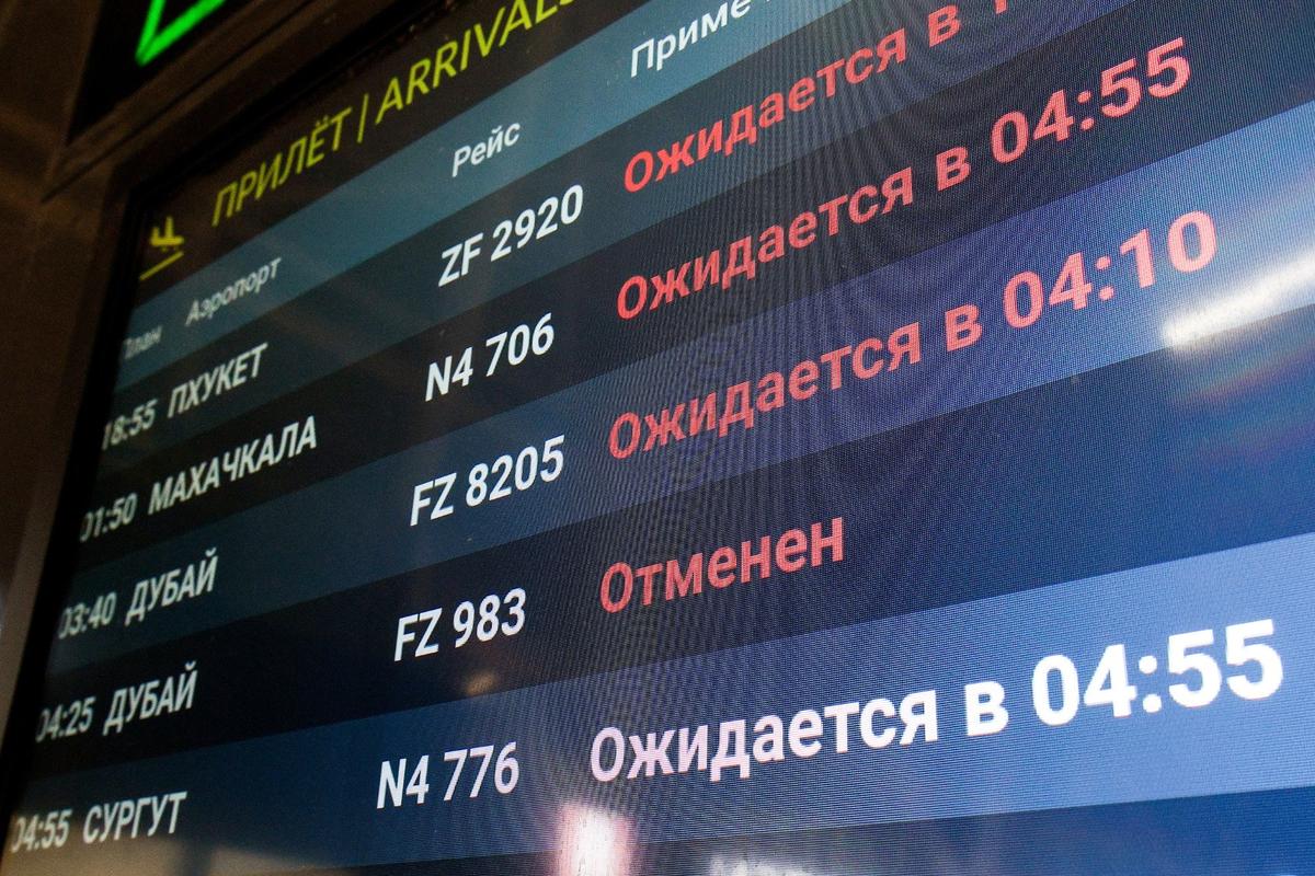 Фото: Егор Алеев / ТАСС