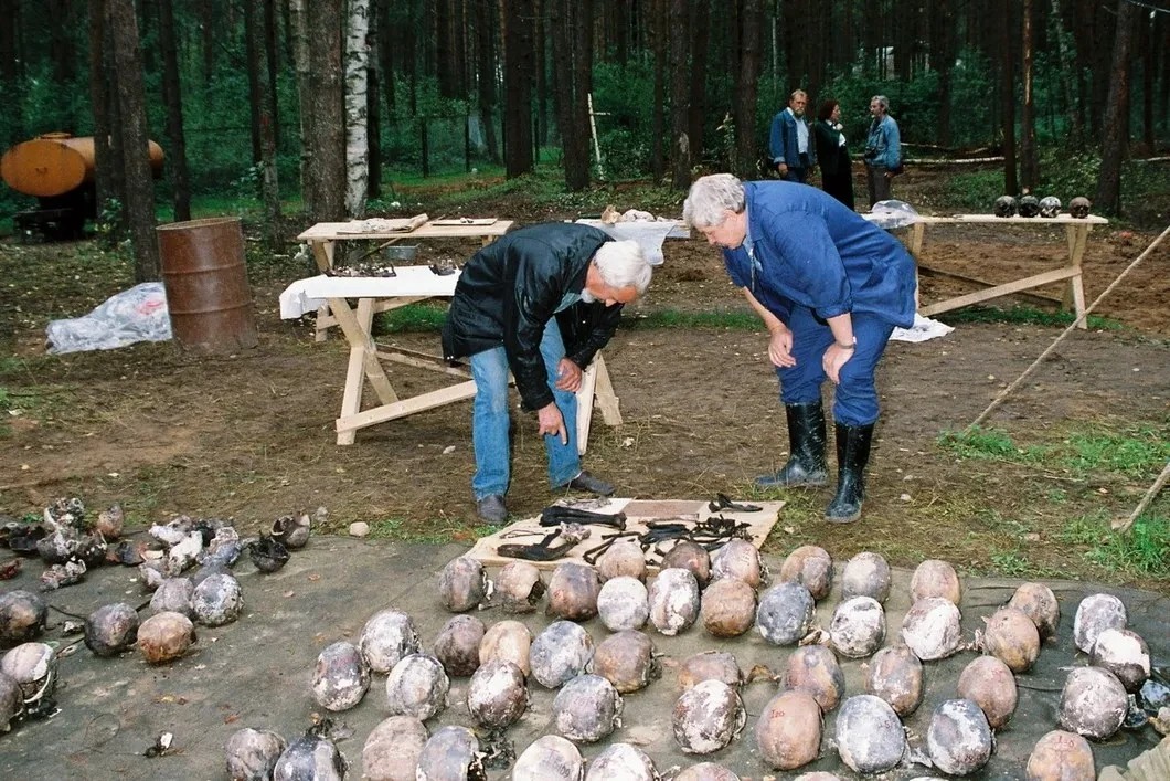 Раскопки в Медном под Тверью, где весной 1940-го Блохин расстреливал поляков в здании УНКВД по Калининской области