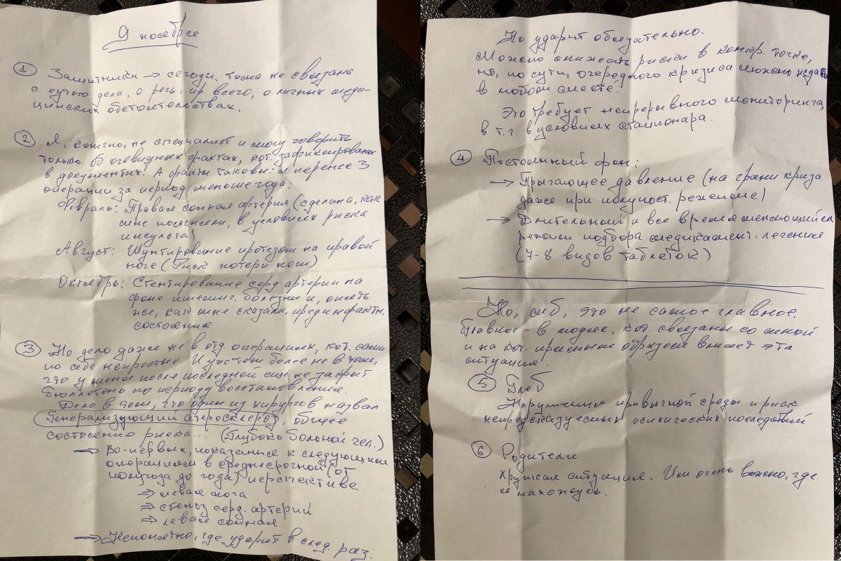 Тезисы, написанные Сергеем Зуевым для выступления в суде перед тем, как его отправили в СИЗО