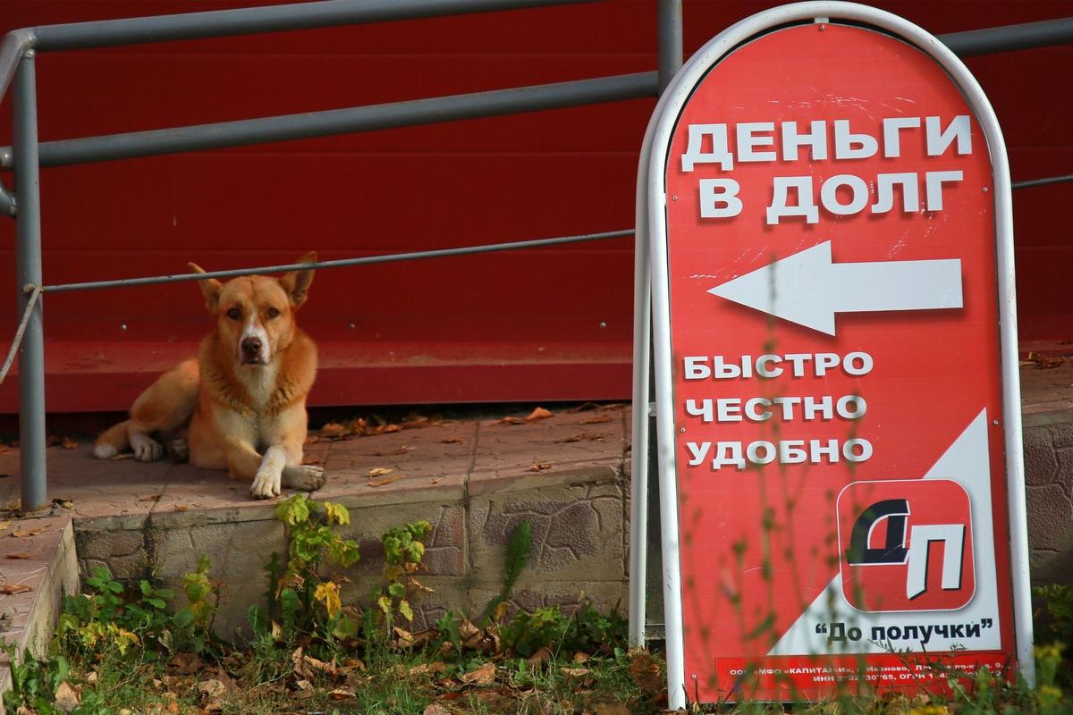 Фото: Владимир Смирнов / ТАСС