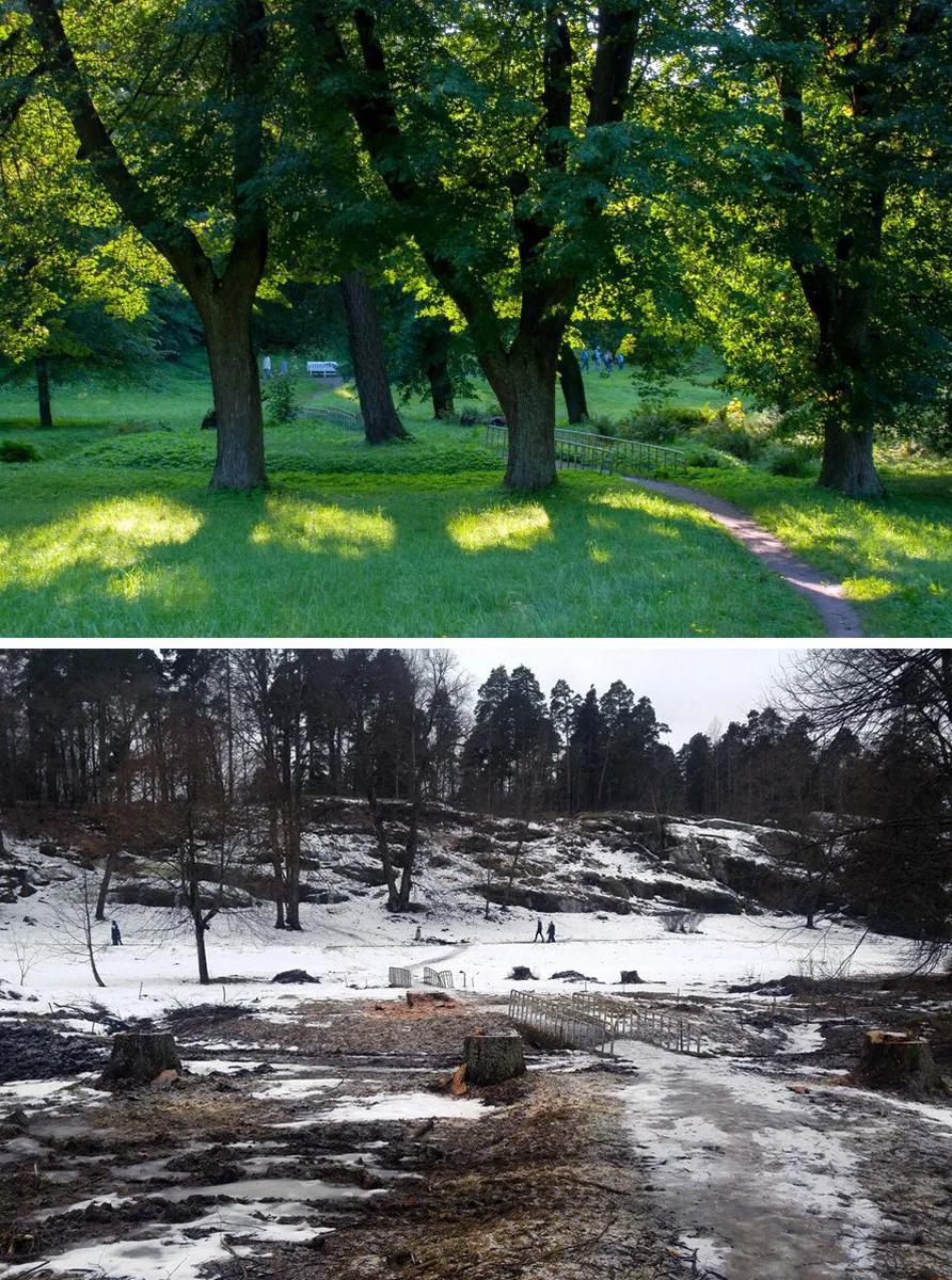 Вид парка «до» и «после» / Фото: @save_monrepo