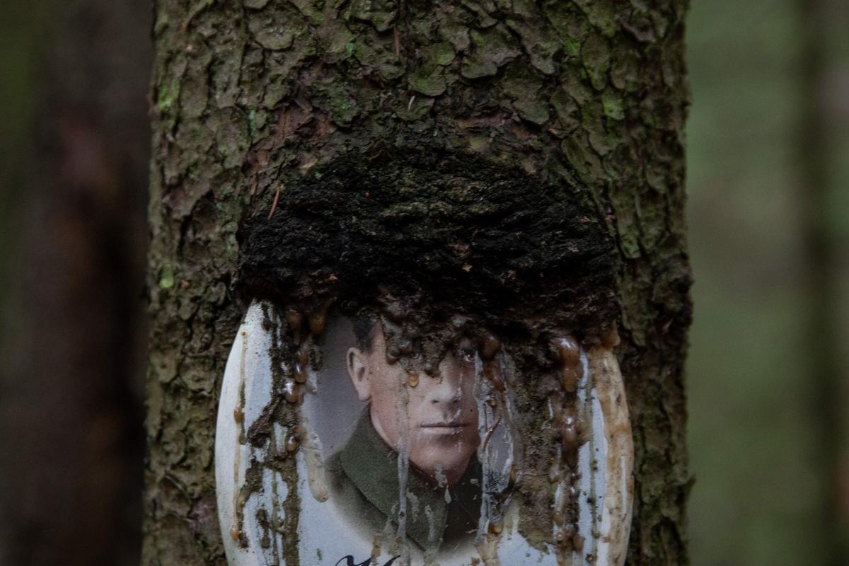 Фото: Алексей Душутин / «Новая газета»