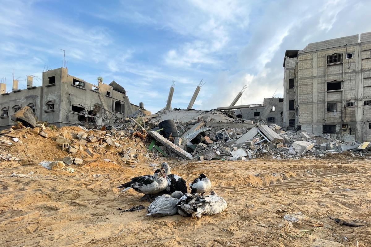 Последствия авиаудара по сектору Газа. Фото: Юсеф Мухаммед / ТАСС