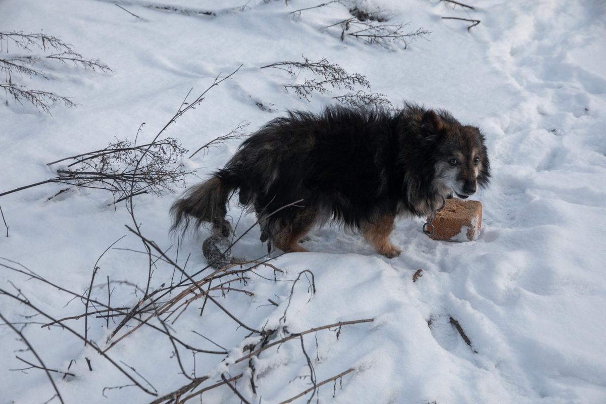 Фото: Алексей Душутин / «Новая газета»