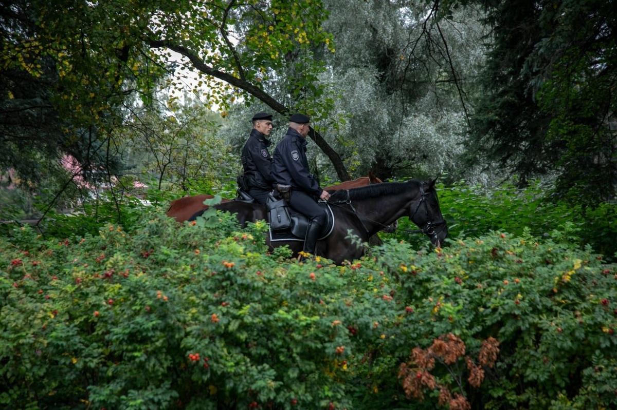 Фото: Алексей Душутин / «Новая газета»