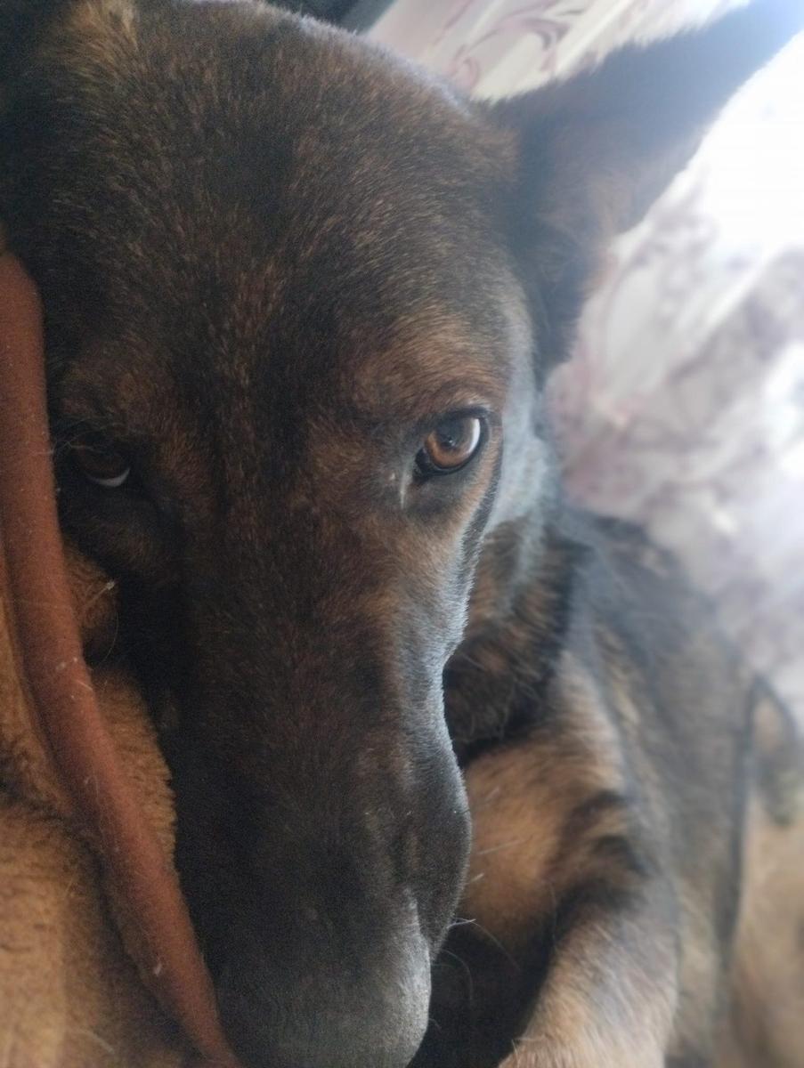 Фото: из личного архива