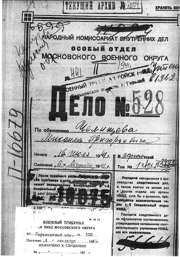 17 ноября 2025 года пришел ответ из архива, а в нем — материалы дела № 528 от 16 июня 1941г. И я впервые увидела своего прадеда