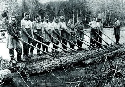 Депортированные с Волыни в 1947 году на сплаве леса в Сибири. Фото: архив