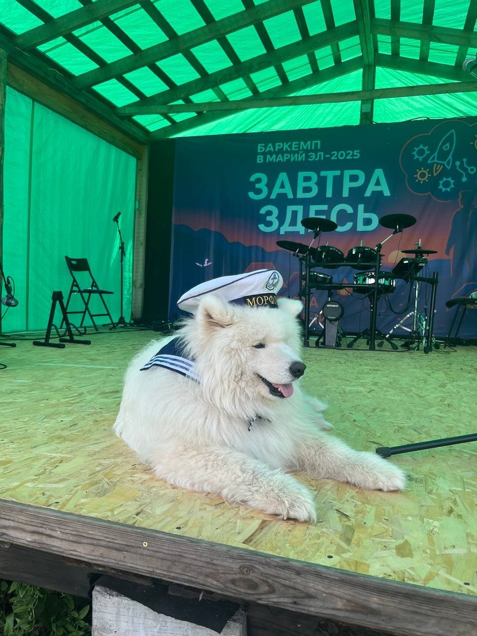 Фото: Елена Панфилова / «Новая газета»