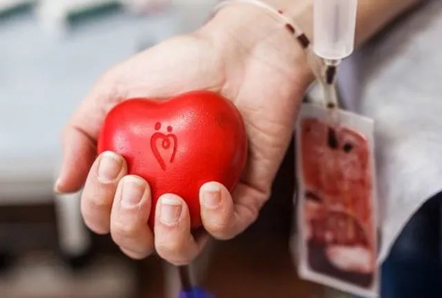 Эмблема фонда «Подари жизнь» на мячике в руке у донора крови