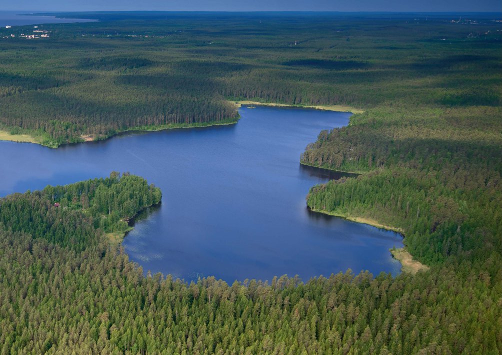 Озеро Щучье. Фото: oopt.spb.ru