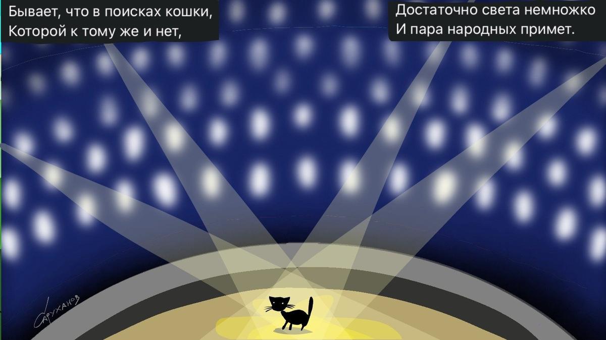 В поисках кошки