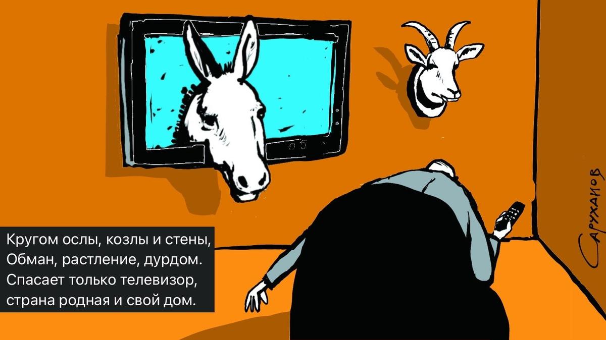 Кругом ослы, козлы и стены
