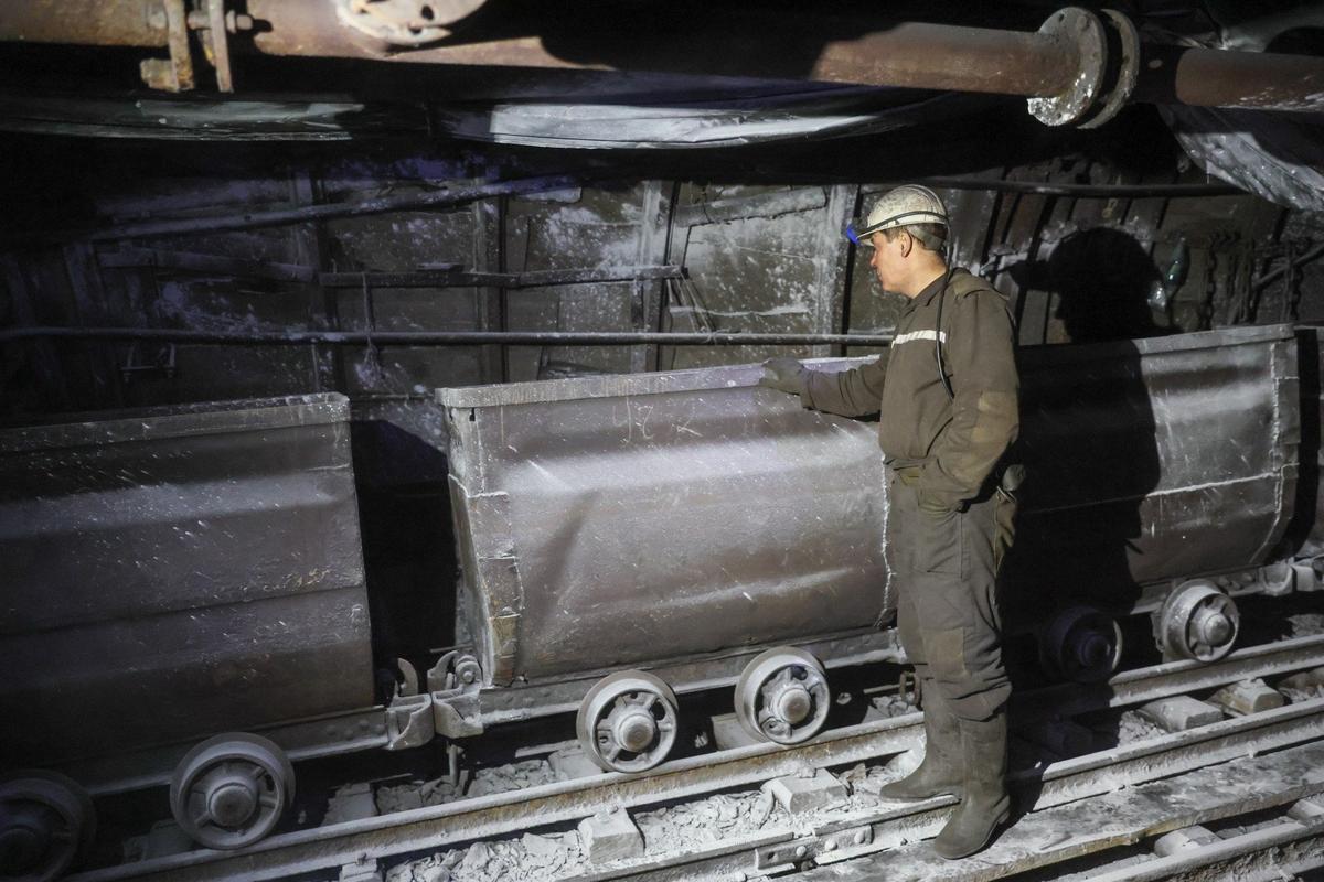 Фото: Дмитрий Ягодкин / ТАСС