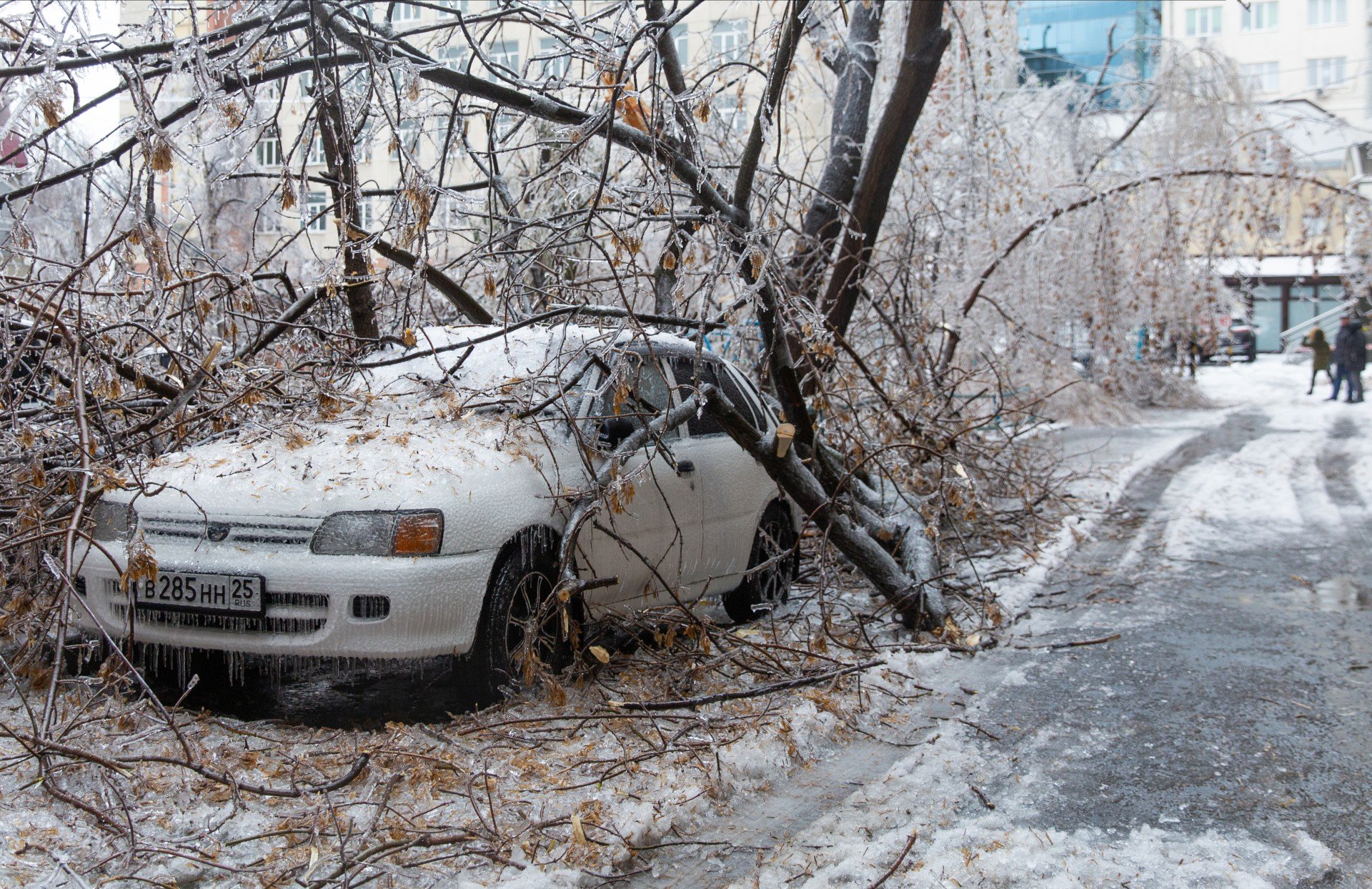 Последствия ледяного долждя во Владивостоке, ноябрь 2020 года. Фото: РИА Новости