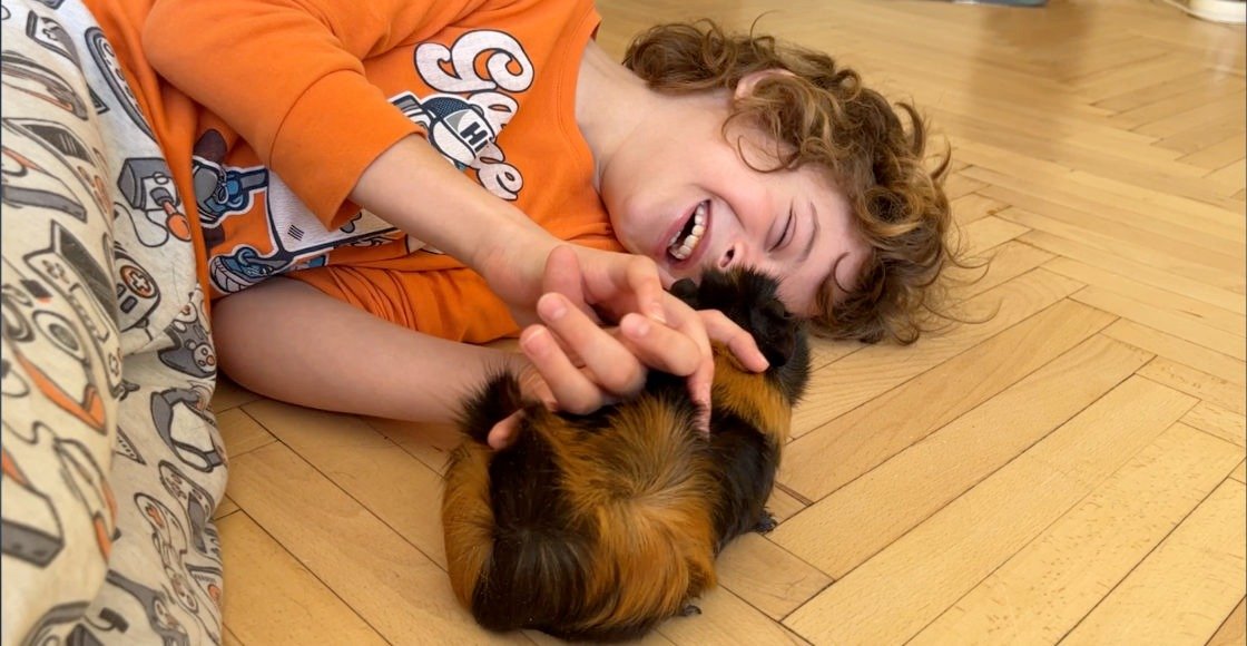 Кадр из фильма «Приключения реального самурая в мире катастроф»