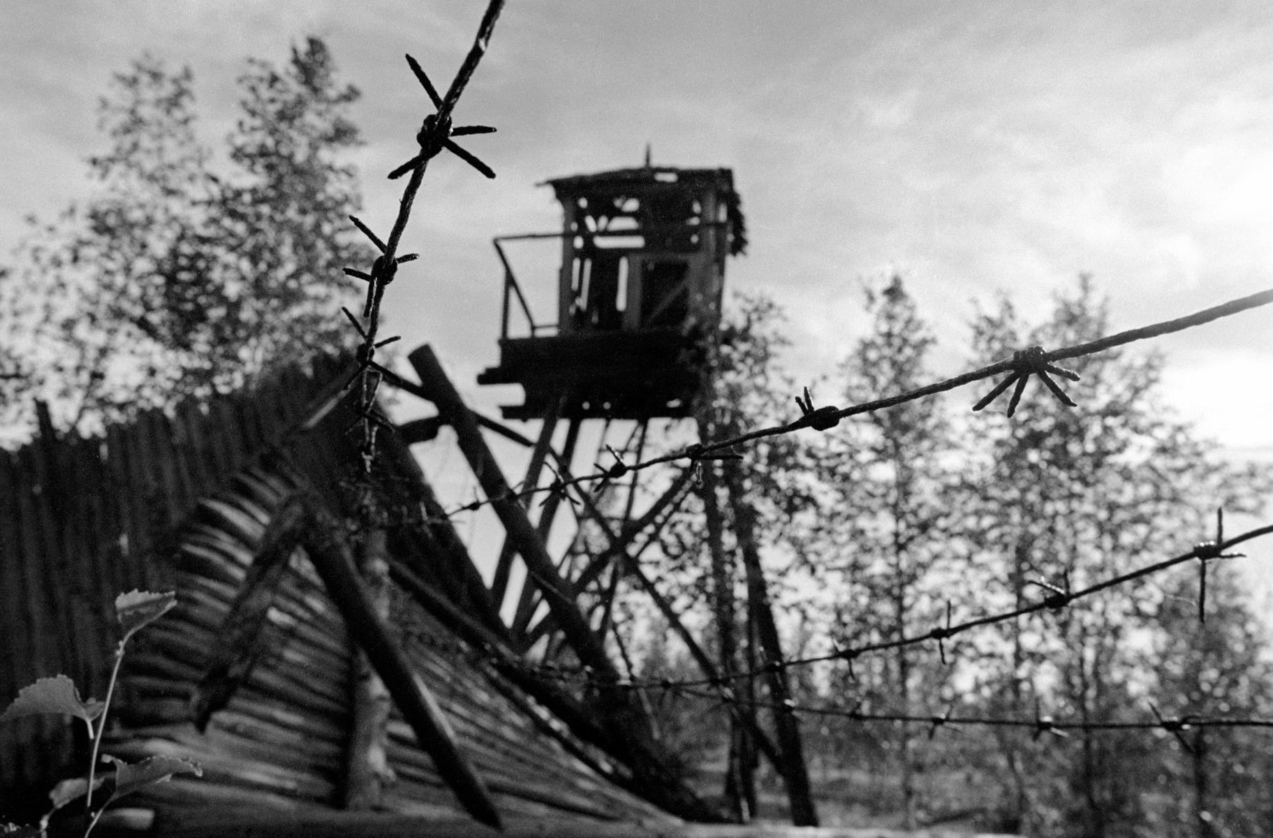 Сохранившаяся караульная вышка в одном из заброшенных лагерей. Фото: Алексей Щукин / ТАСС