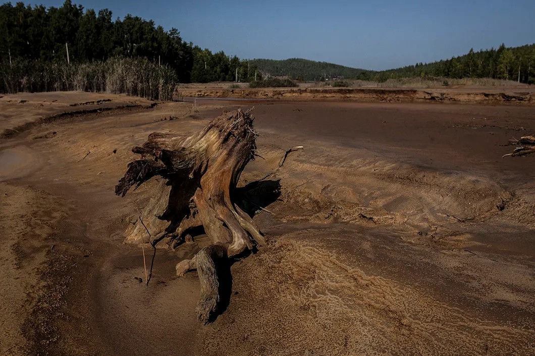 Погибающие леса в Карабаше, радом с которыми протекают медный ручей. Фото: Влад Докшин / «Новая газета»