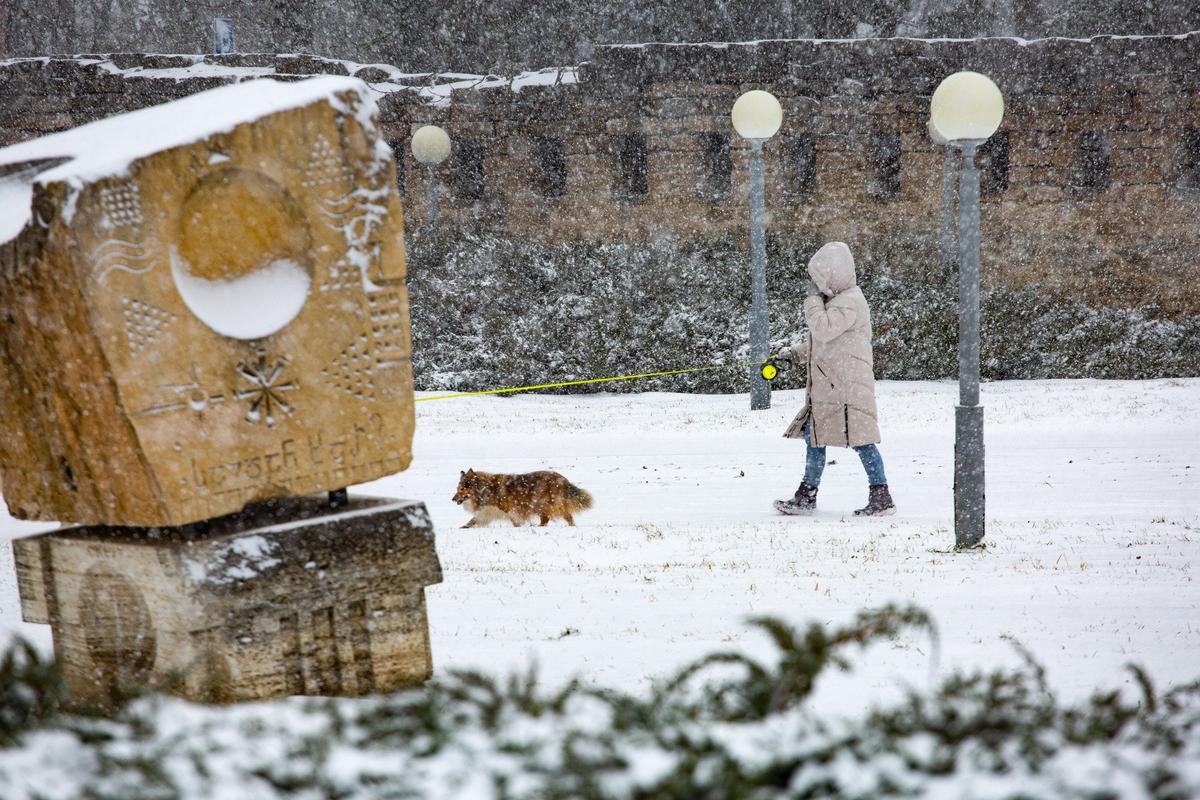 Фото: Мария Шаповал / ТАСС