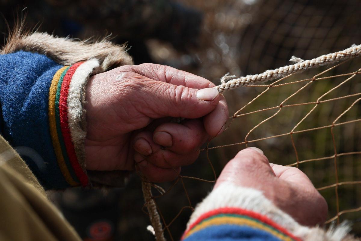 Фото: Донат Сорокин / ТАСС