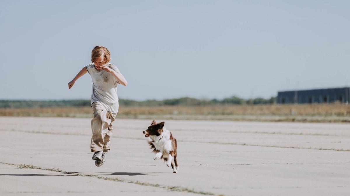 Космос как сочувствие