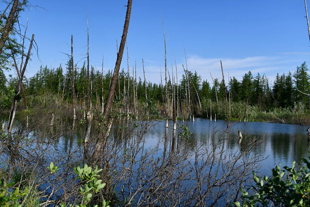 Dead lake. Near the Talnakh Enrichment Factory tailings storage facility. Photo: Yury Kozyrev, Novaya Gazeta