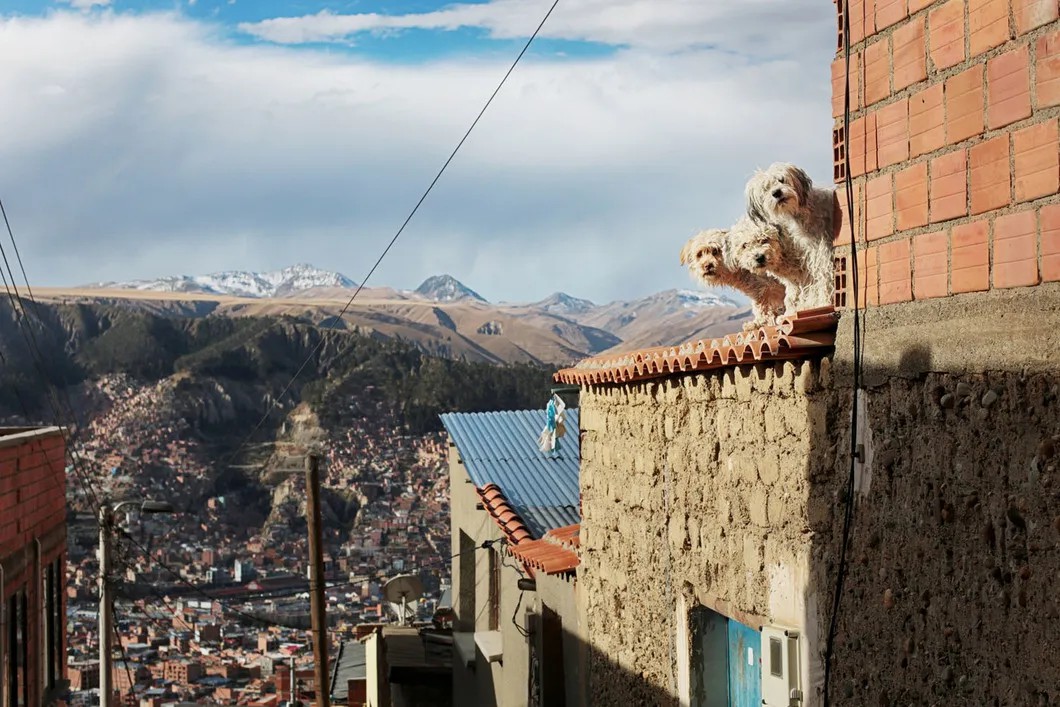 Ла-Пас, Боливия (2016). Фото: Мария Плотникова