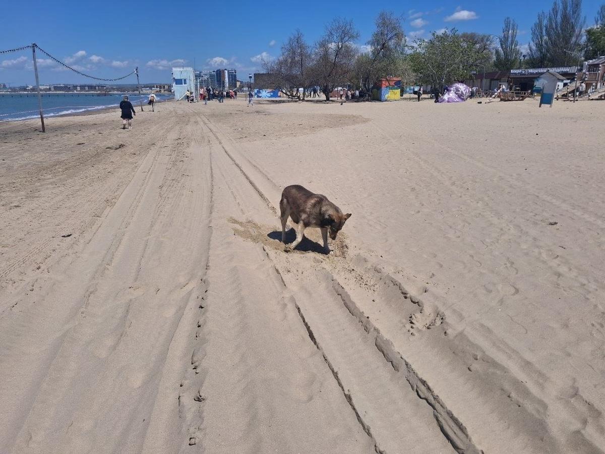 Фото автора